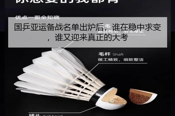 国乒亚运备战名单出炉后，谁在稳中求变，谁又迎来真正的大考